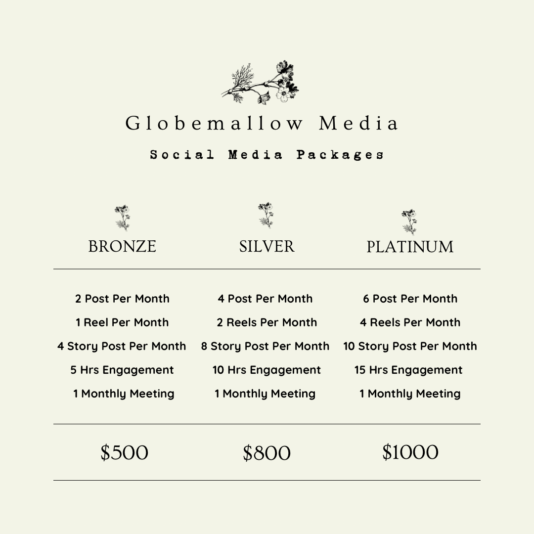 Social Media Packages